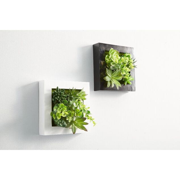 Cadre avec plante artificielle d&eacute;coration murale