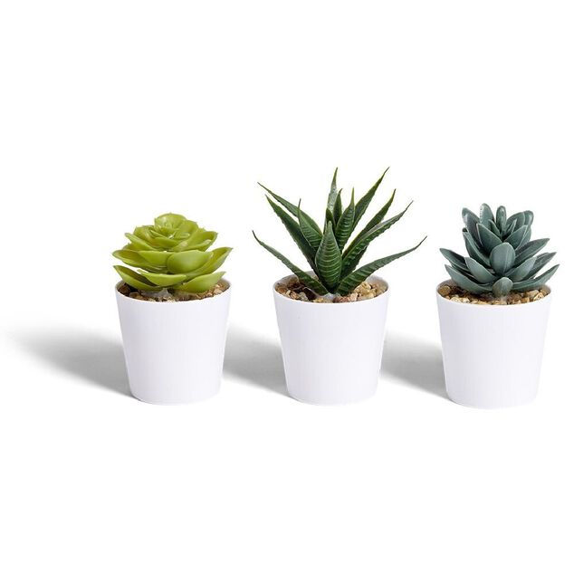 Lot de 3 plantes artificielles dans pot &Oslash;5,8xH10cm