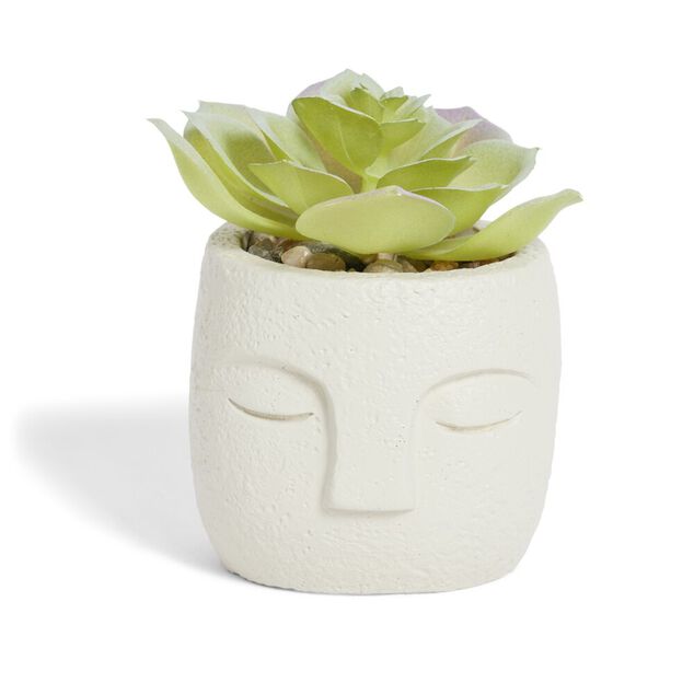 Plante artificielle pot ciment forme visage &Oslash;6,5xH9cm (plusieurs mod&egrave;les)