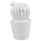 D&eacute;coration pot cactus