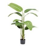 Arbre artificiel XL oiseau de paradis strelitizia H160cm