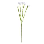 Fleurs artificielles tige oeillet blanc H60cm - 2 modèles