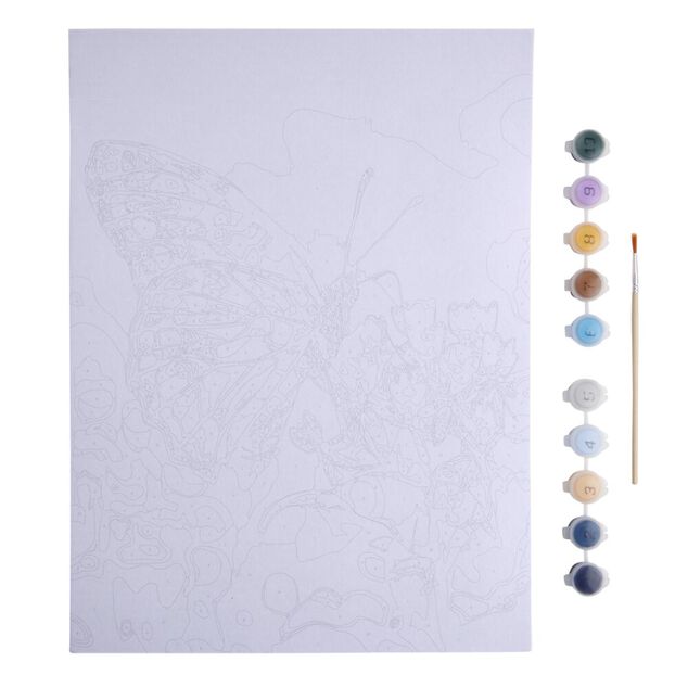 Kit peinture numéro avec pinceau et peintures 30x40cm (2 modèles)