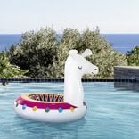 Bou&eacute;e gonflable lama