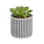 Plante grasse artificielle verte pot c&eacute;ramique &Oslash;7,5xH11,5cm