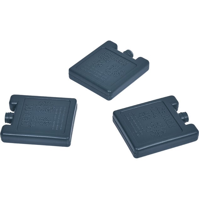 Sac fra&icirc;cheur repas 5 L avec 4 bo&icirc;tes et 3 blocs de glace