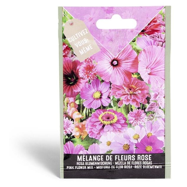 Semence fleur rose m&eacute;lange 2g