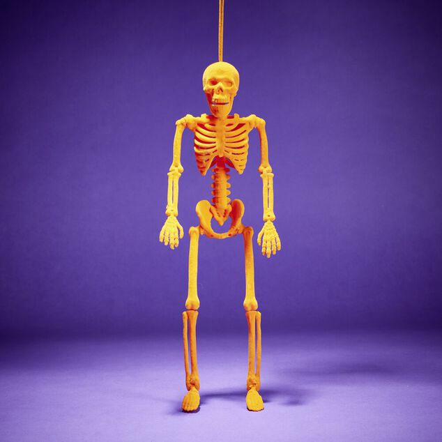 Squelette &agrave; suspendre Halloween H40cm