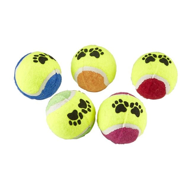 Balle pour chien x 5