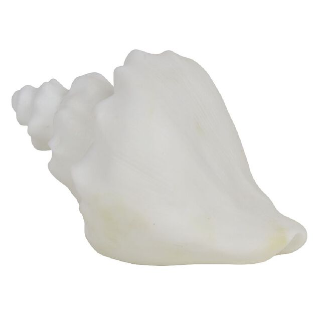 Veilleuse LED coquillage blanc