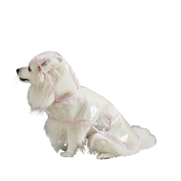 Manteau de pluie imperm&eacute;able transparent pour chien - Taille S