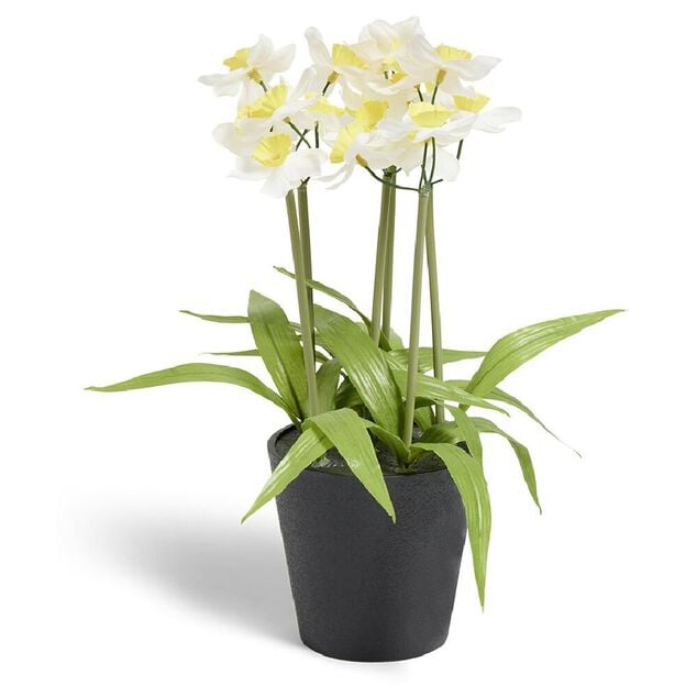 Narcisse artificiel en pot &Oslash;28xH30cm
