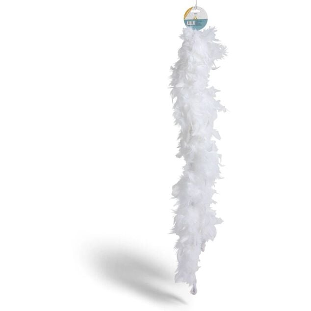 Boa plume noir ou blanc 200cm