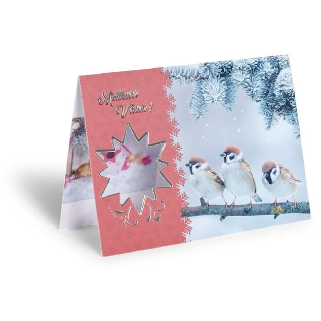 Carte de voeux No&euml;l 12x17cm