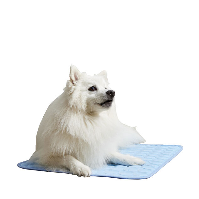 Tapis rafraîchissant pour chien 45x60cm