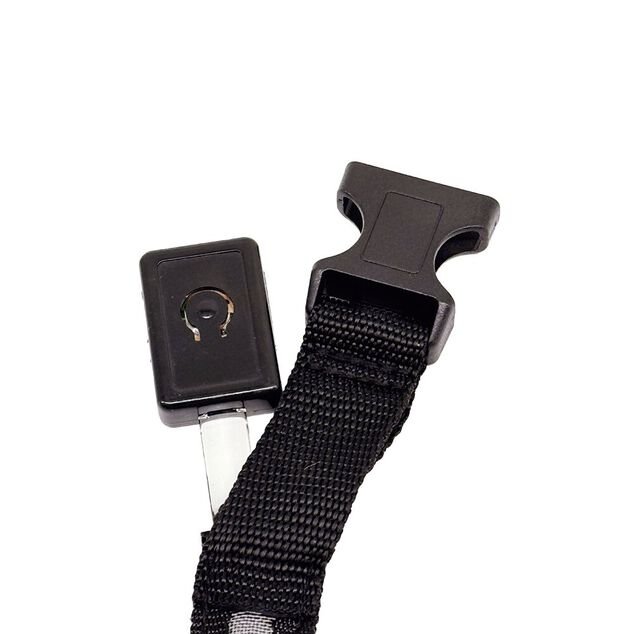 Collier LED pour chien vert L34-41cm - Taille S