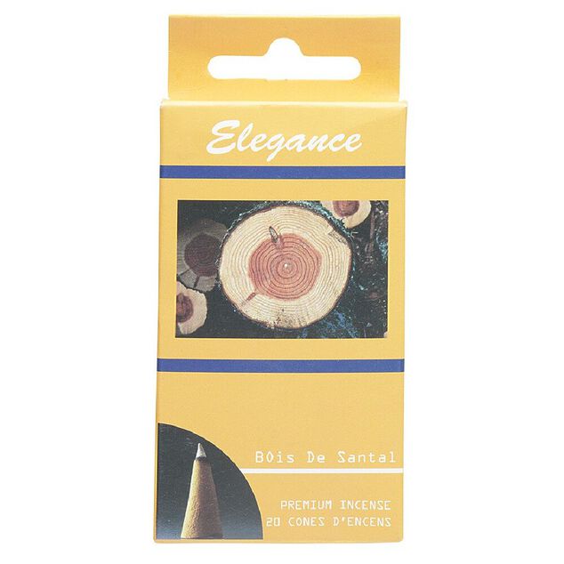 C&ocirc;ne d'encens &agrave; br&ucirc;ler x20