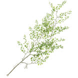 Chute feuillage artificiel vert L89cm