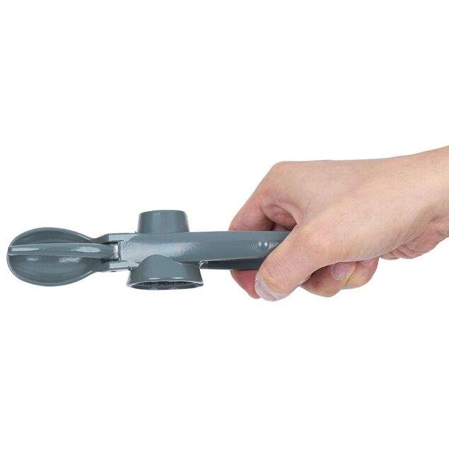 Pince à chataigne et casse-noix 2 en 1 en métal