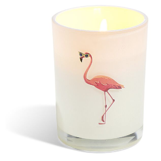 Bougie citronnelle verre