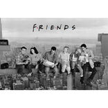 Poster Friends - Skycraper
