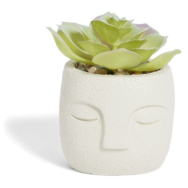 Plante artificielle pot ciment forme visage &Oslash;6,5xH9cm (plusieurs mod&egrave;les)