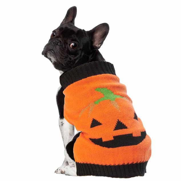D&eacute;guisement Halloween pull motif citrouille pour chien