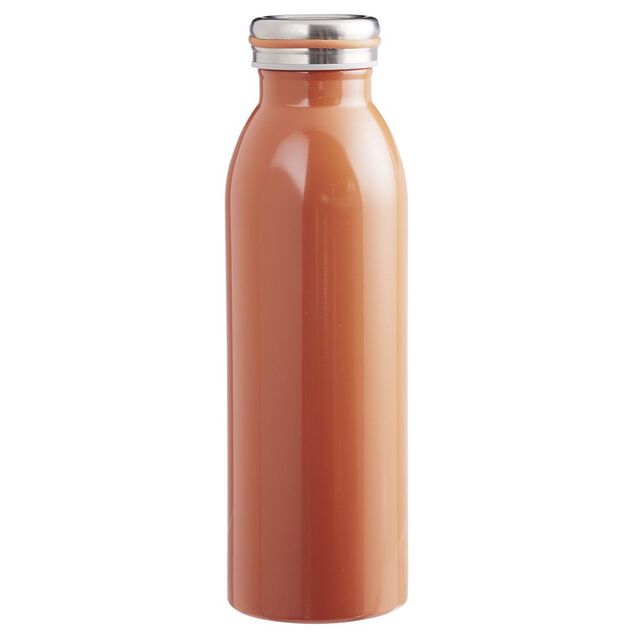 Bouteille isotherme inox uni 500ml (4 mod&egrave;les)