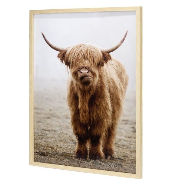 Cadre bois image vache Highland marron 40x50cm