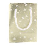 Sac cadeau de No&euml;l petit mod&egrave;le H14.5cm (2 mod&egrave;les)