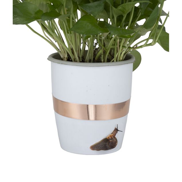 Bande de cuivre anti-limaces adh&eacute;sive 4m