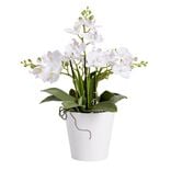 Fleurs artificielles en pot orchid&eacute;e blanche 5 branches H32cm