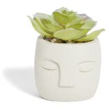 Plante artificielle pot ciment forme visage &Oslash;6,5xH9cm (plusieurs mod&egrave;les)