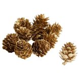 Pomme de pin à poser effet neige dorée x10