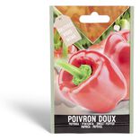 Semence poivron doux California Wonder 0,5g