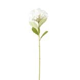 Fleur artificielle 1 tige hortensia blanc H82cm