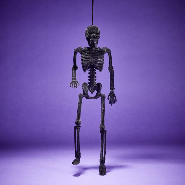 Squelette &agrave; suspendre Halloween H40cm
