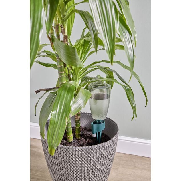 R&eacute;servoir d'eau arroseur plante