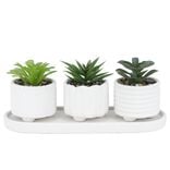 Plante artificielle pot blanc x3 avec plateau