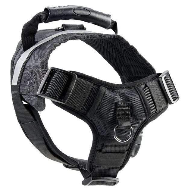 Harnais noir pour chien L81cm taille L