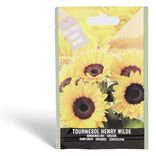 Semence de tournesol Henry Wilde 4g