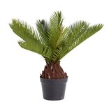 Plante artificielle cycas en pot H38cm