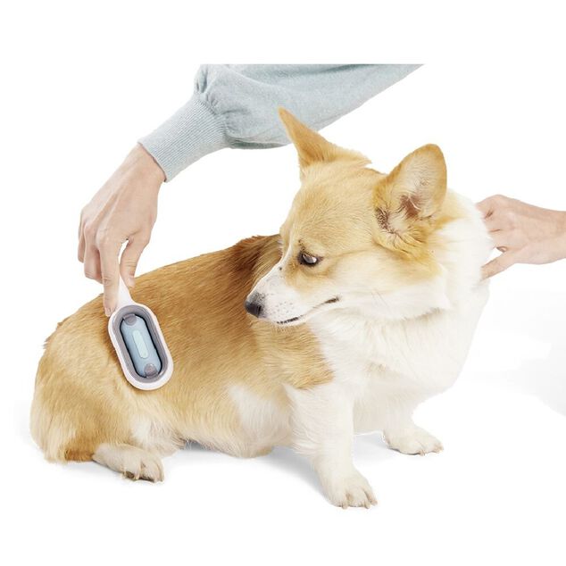 Brosse animal attrape poils avec r&eacute;servoir d'eau