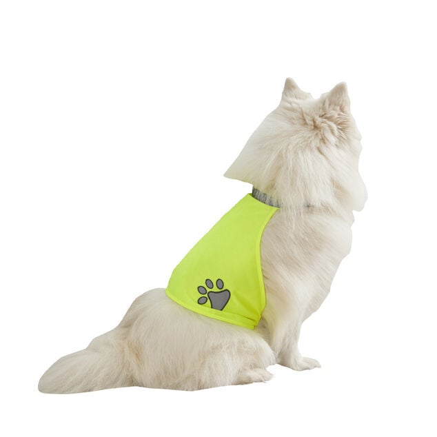 Gilet de s&eacute;curit&eacute; pour chien r&eacute;fl&eacute;chissant Taille M