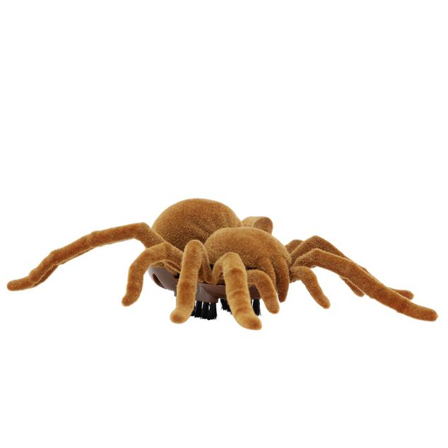 Insecte anim&eacute; farce et attrape L10cm (3 mod&egrave;les)