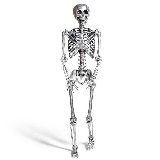 Squelette articul&eacute; Halloween H150cm plastique argent&eacute;