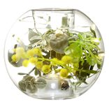 Photophore sph&egrave;re avec plantes et led