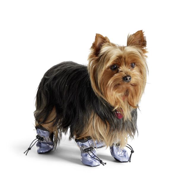 Chaussures pour animaux x4 &Oslash;3,5x4,5cm (3 mod&egrave;les)