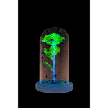 Rose sous cloche en verre avec LED Ø11,8xH19,5cm
