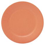 Lot de 10 assiettes en carton orange Ø18cm